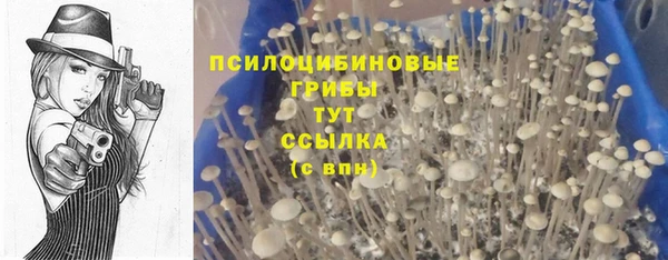 кристаллы Няндома