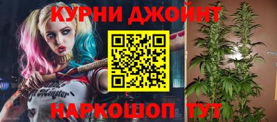 сатива Обнинск