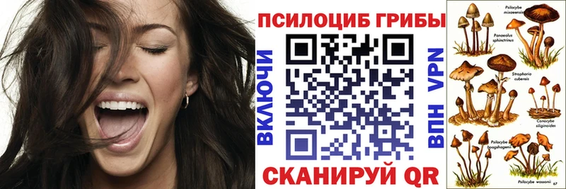 купить наркотик  Партизанск  Псилоцибиновые грибы GOLDEN TEACHER 