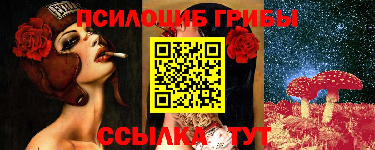 Партизанск  Галлюциногенные грибы MAGIC MUSHROOMS  Вход с VPN 